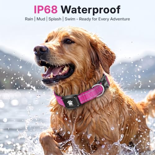 GPS Dog Collar with Tracker (Hot Pink / L(16.5''-23.5''))