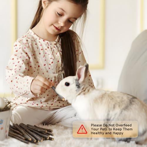 600g Organic Apple Sticks Small Animals Molar Wood Treats Toys for Chinchillas Guinea Pig Rabbits Hamster Gerbil Parrot Bunny Chew Stick Toys (1.33 Pound (Pack of 1))