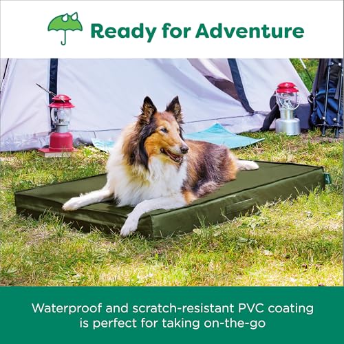 Cooling Dog Bed (Jumbo Plus / Green)