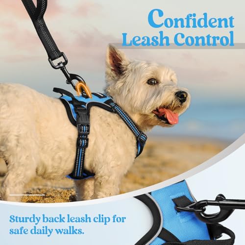 Dog Harness No Pull for Small Dogs with 2 Leash Clips (X-Small / Blue)
