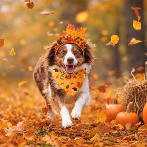 200 Pcs Fall Dog Bandanas Bulk Autumn Leaf Pumpkin Acorn Mushroom (Orange, Yellow,White / Rustic Fall)