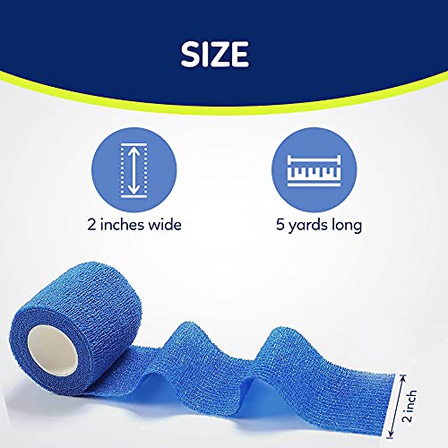 Pet Wrap Self (2 Inch (Pack of 12) / Solid Color A)