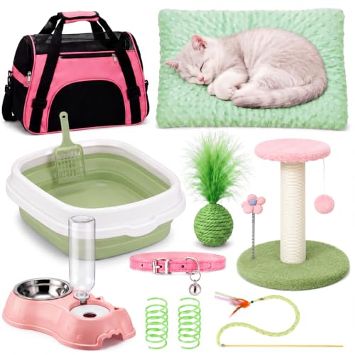 10 Pcs Kitten Starter Kit for Indoor (Classic / Medium / Pink Green)