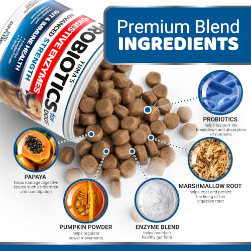 2 Pack) Probiotics for Dogs - 340 Ct - Dog Probiotics Chews for Gut Health (Probiotic Chews / Value Pack (340 Chews))