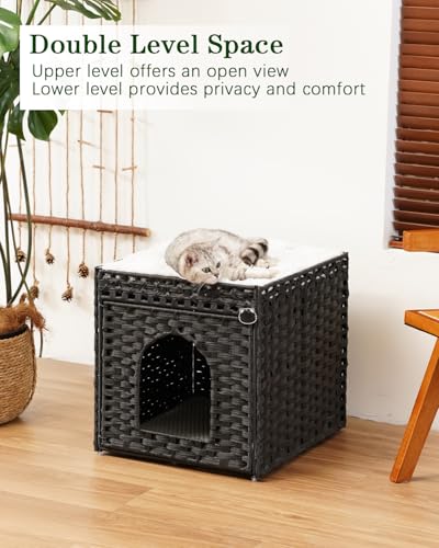 Cat Litter Box Enclosure Furniture (Black / Standard)