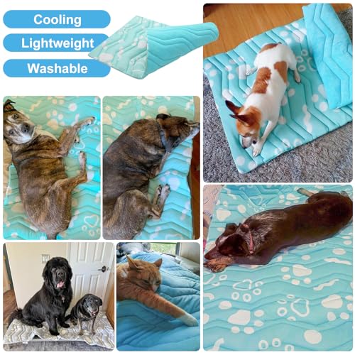 Cooling Mat for Large Dogs (Aqua Blue / 48.0"L x 28.0"W x 1.0"Th(L))