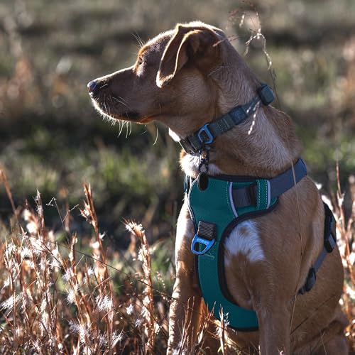 Embark No Pull Dog Harness (XL / Blue)