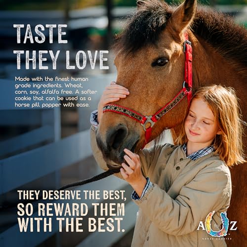 Horse Treats Blonde Bits of Health