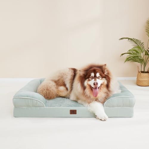 Orthopedic XXL Dog Bed (Soft Sage Green / 48.0"l X 35.0"w X 8.0"th)
