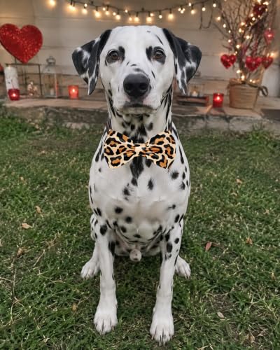 10 Pack Daily Dog Bowties for Large Dogs Sliding on Collar (M/L)