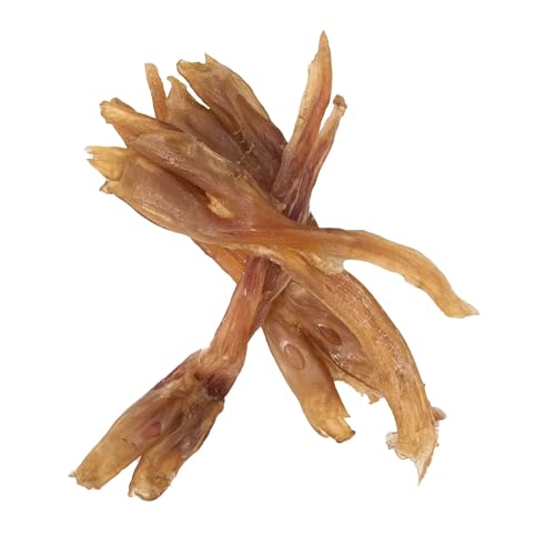 Beef Tendons for Dogs & Puppies (1 Ounce (Pack of 10) / Standard)