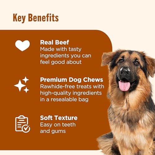 Soup Bones Beef Dog Chews (1.44 Pound (Pack of 1))