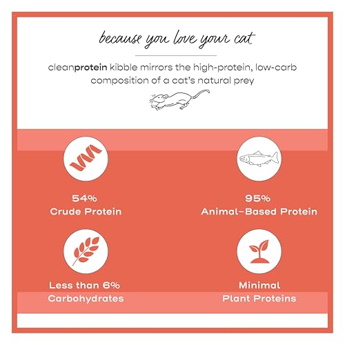 Cleanprotein Salmon Formula Dry Cat Food (2 Pound (Pack of 1))