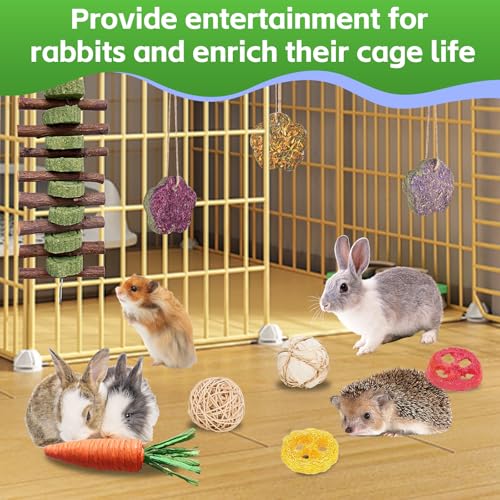 21 Piece Natural Small Pet Chew Toys Set for Rabbits (colorful)