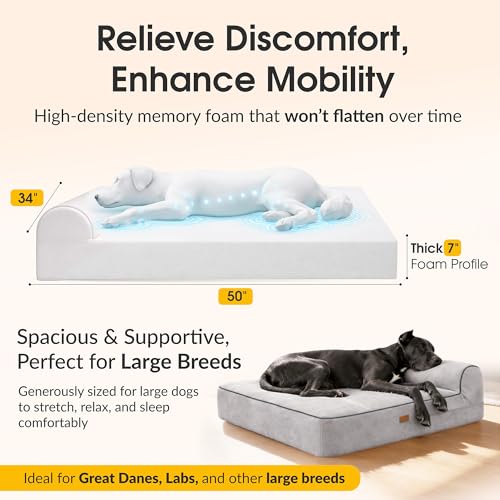 Orthopedic Memory Foam Dog Bed 7" Inch Thick Extra Large Dog Bed With Pillow Grey 50"x34"x10" Includes Waterproof Liner & Durable Removable Cover With Smart Design (Grey / XL - 50"x34"x10")