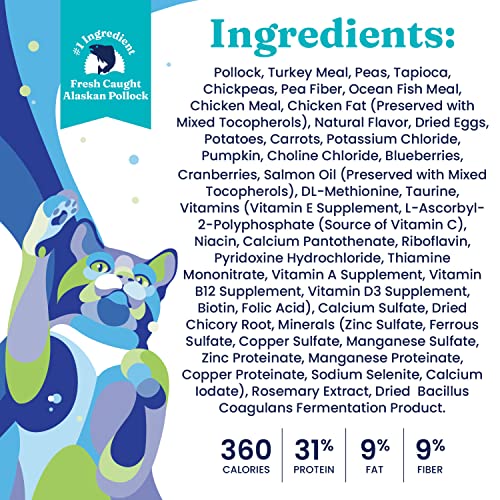 High Protein Chicken Dry Cat Food (6 Pound)
