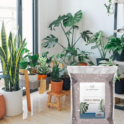 Tropical House Plant Potting Mix (2 Quarts)