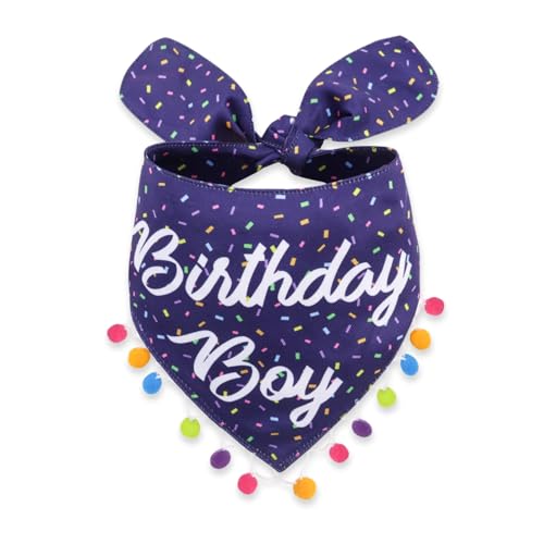 Luxury Pet Birthday Bandanas (Birthday Boy / Large)