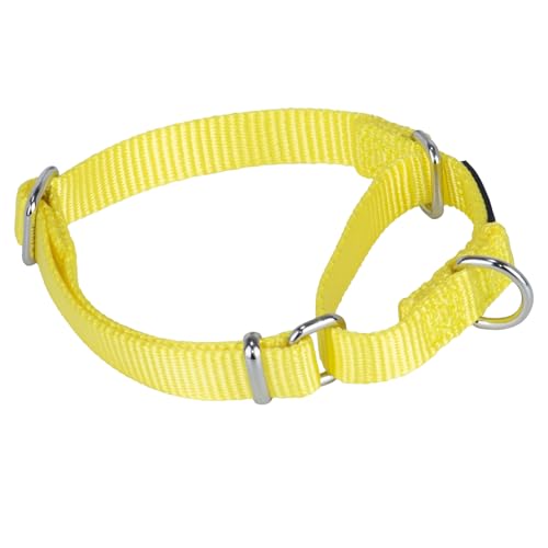 Martingale Dog Collar (Small / Luminous Yellow)