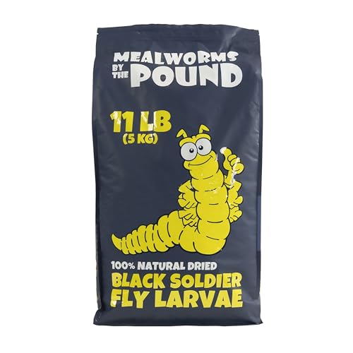 Dried Black Soldier Fly Larvae
