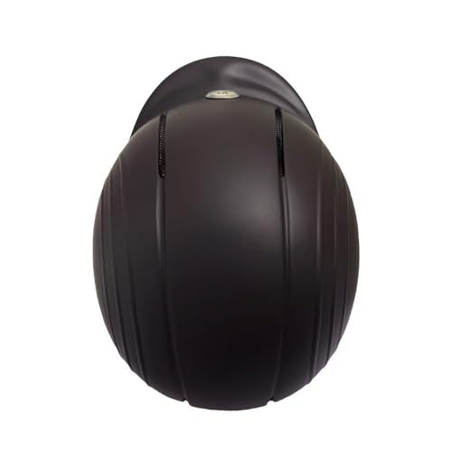 Starter Basic Horse Riding Helmet (Medium / Shiny Brown)