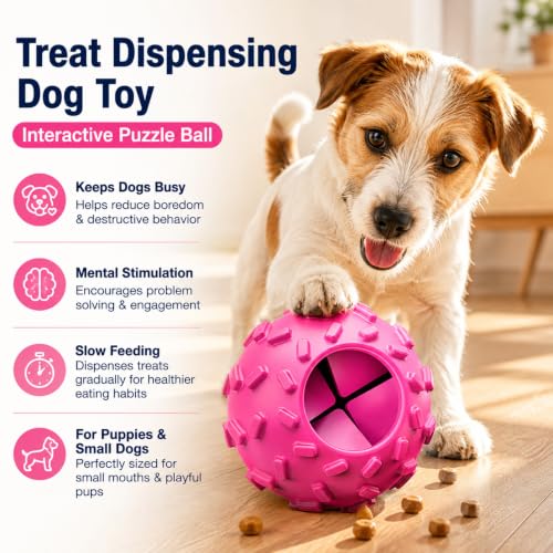 Treat Dispensing Dog Toy (Purple)
