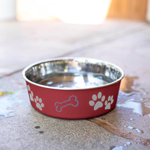 Bella Dog Bowls (Merlot / X-Large (65-100lbs))