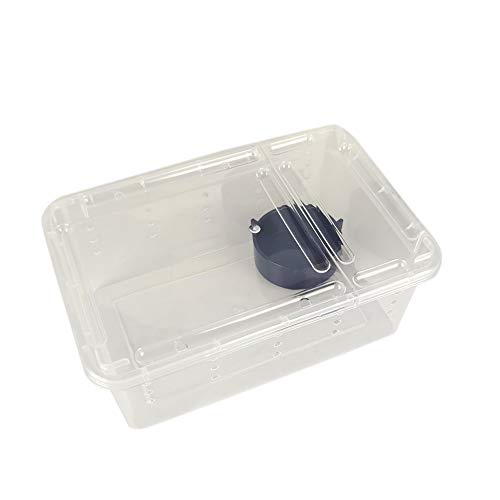 Portable Reptile Terrarium Habitat for Mini Pet Houses Breathable Holes Stackable Container (1PCS-Clear-XS)