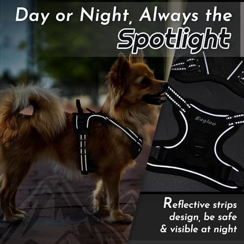 Dog Harness for Small Dogs (X-Small / Black)