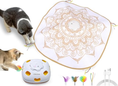 Cat Toys for Indoor Cats