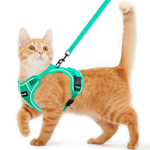 Cat Harness and Leash for Walking Escape Proof Soft Adjustable Cat Leash (Emerald / M (13-18lb))