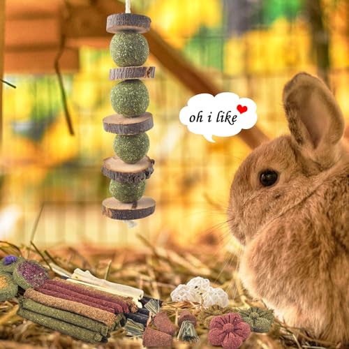 42PCS Rabbit Chew Toys (42)