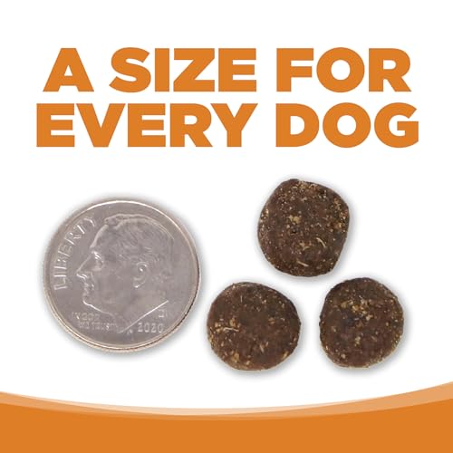 Adult Dry Dog Food (4 Pound (Pack of 1))