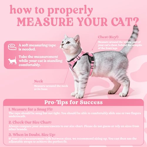 Cat Harness and Leash Set (Xxs / Pink)