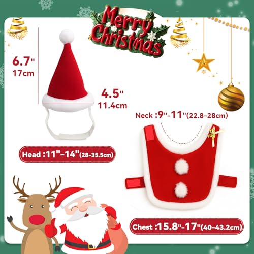 Cat Christmas Costume (Christmas Costume)
