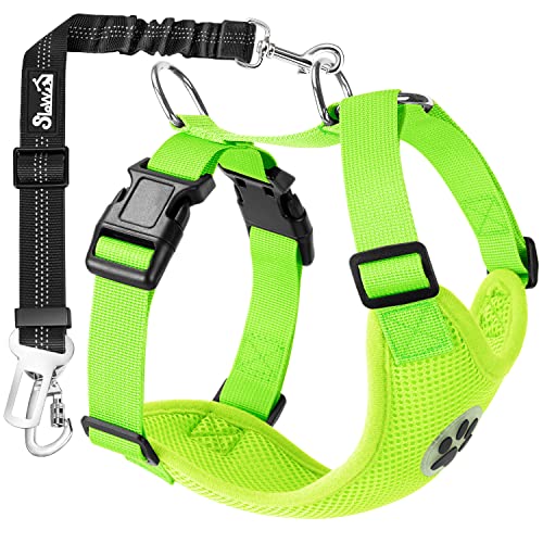 Dog Seat Belt and Harness for Car (Lime / Small)
