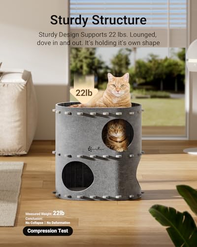 Cat House for Indoor Cats (Light Gray / Double)