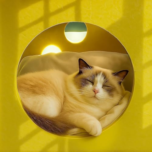 41 Pcs Interactive Cat Toys for Indoor Cats (Contemporary)