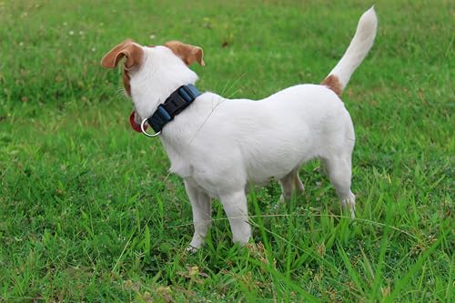 Nylon Dog Collar with Quick Release Buckle Soft Adjustable Sturdy for Small Medium Large Dogs Haze Blue (Haze / M：13"-20")