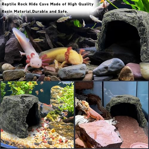 Reptile Hideout