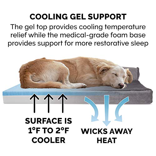 Cooling Gel Dog Bed for Medium (Medium / (Plush & Velvet) Platinum Gray)