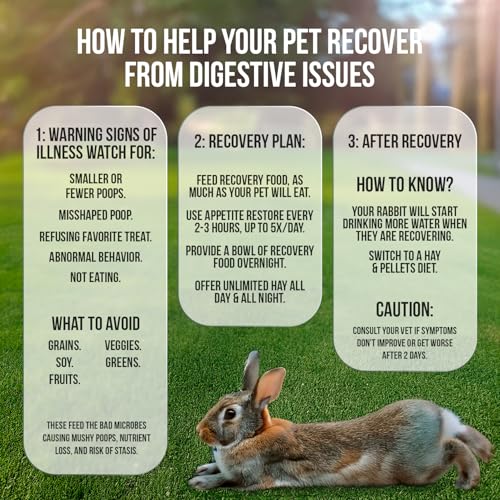 Rabbit Emergency kit and Bulk Recovery Food (6.35 Ounce (Pack of 1))