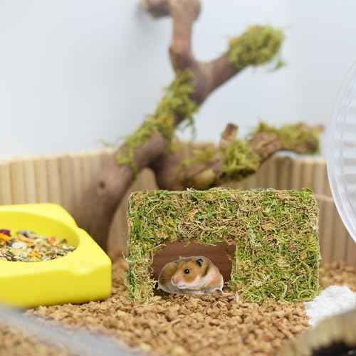 Hamster Hideout (Square, Large)