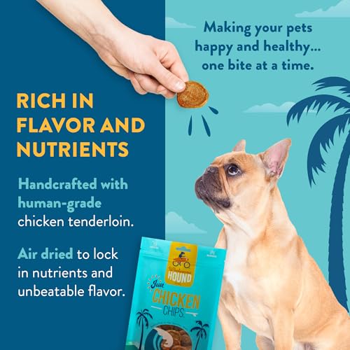 Chicken Chips Dog Treats (16 Ounce (Pack of 1))