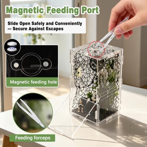 20PCS Acrylic Jumping Spider Enclosure Kit (Green-Scandi style)
