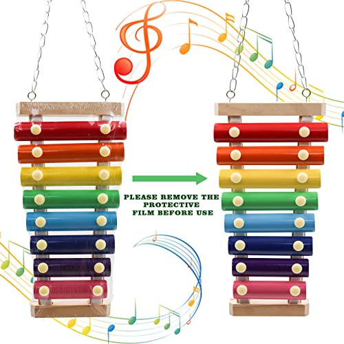 Colorful Bird Xylophone Toy (Hanging Mount / 8 Keys)