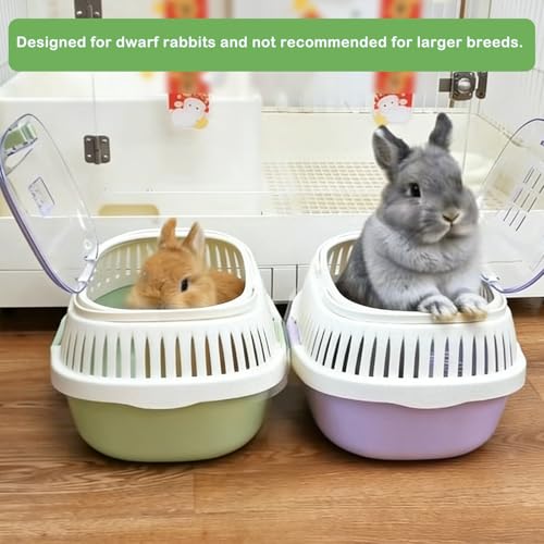 Hamster Carrier Portable Guinea Pig Carrier 13 X 11 X 8 in (Green)