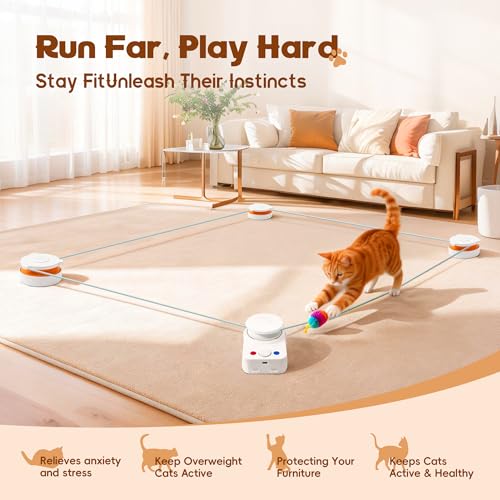 Interactive Cat Toy for Indoor Cat (H1K3)