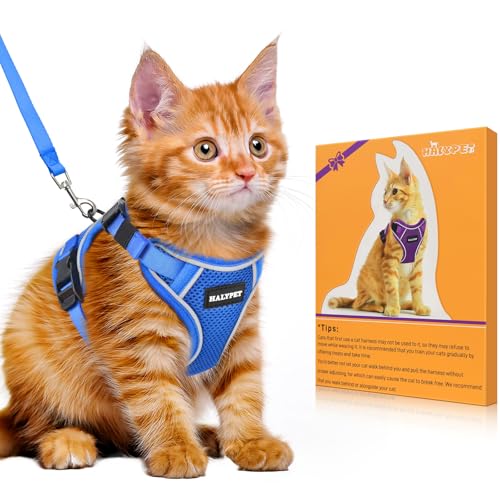 Cat Harness and Leash Set (H600 Pro Blue / X-Small (4-6lb))