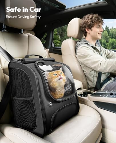Cat Backpack Carrier (Black / 12.6"L x 10.2"W x 16.5"H)